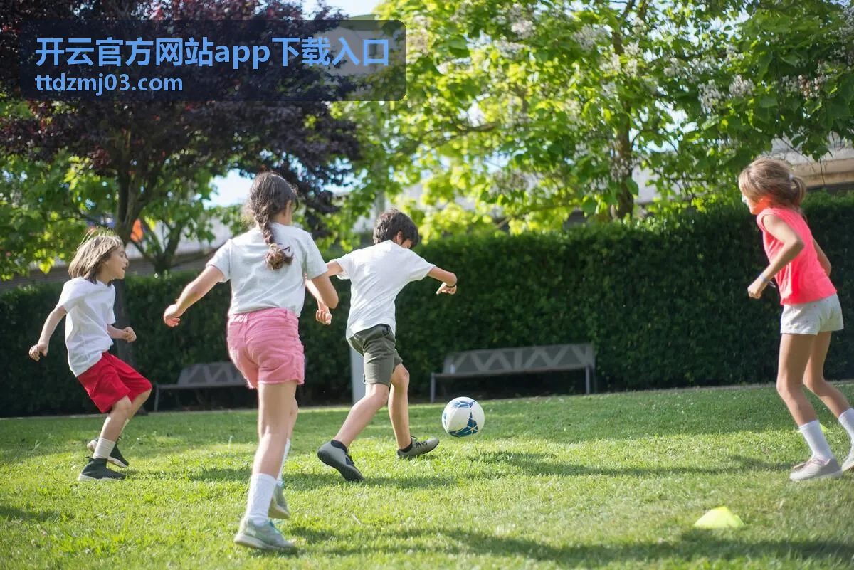 开云官方网站app下载入口 安装失败与更新异常处理配图