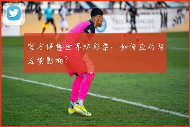 官方停售世界杯彩票，如何应对与后续影响？