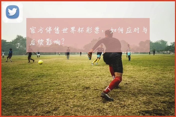 官方停售世界杯彩票，如何应对与后续影响？