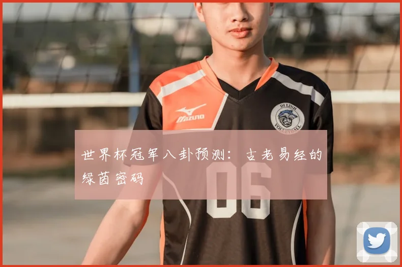 世界杯冠军八卦预测:古老易经的绿茵密码