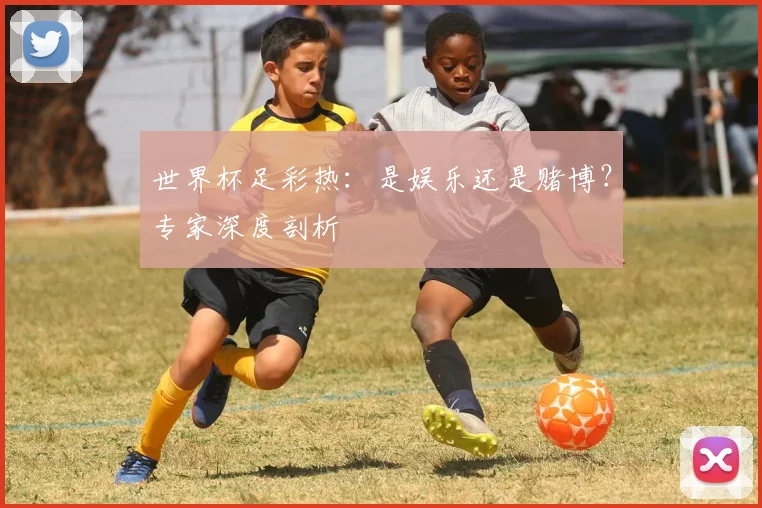 世界杯足彩热：是娱乐还是赌博？专家深度剖析