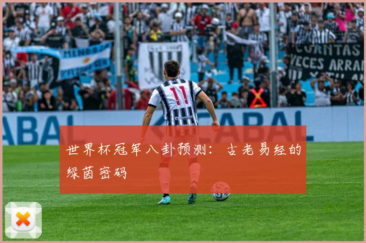 世界杯冠军八卦预测:古老易经的绿茵密码