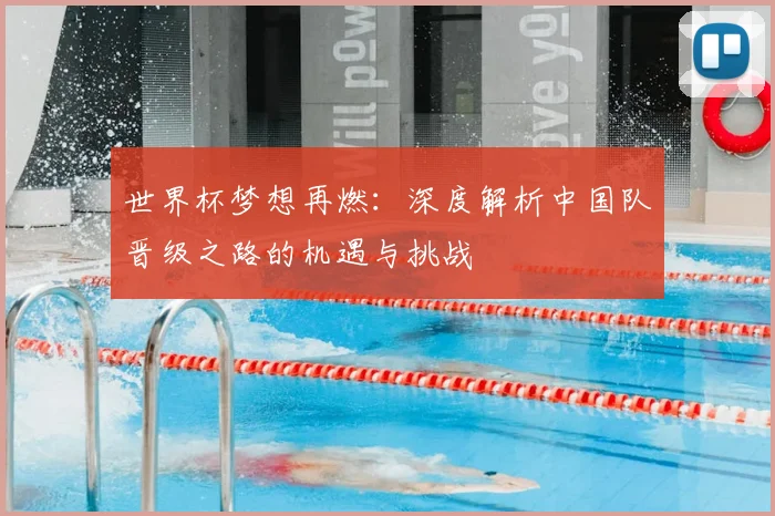 世界杯梦想再燃：深度解析中国队晋级之路的机遇与挑战