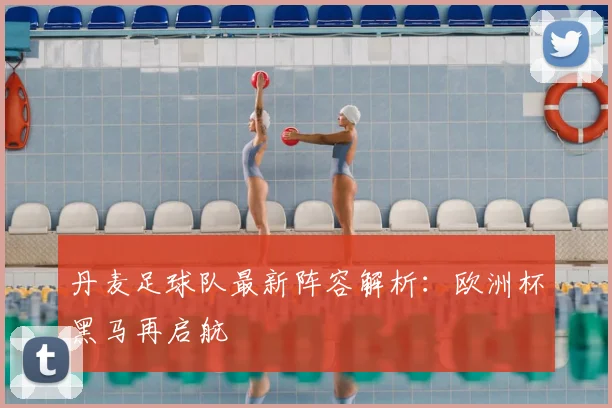 丹麦足球队最新阵容解析：欧洲杯黑马再启航