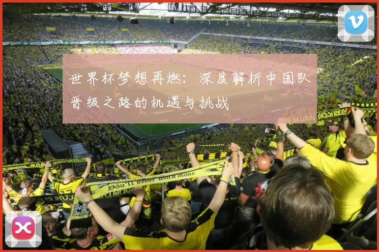 世界杯梦想再燃：深度解析中国队晋级之路的机遇与挑战