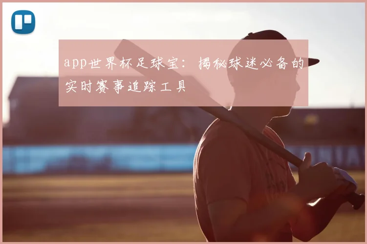 app世界杯足球宝：揭秘球迷必备的实时赛事追踪工具