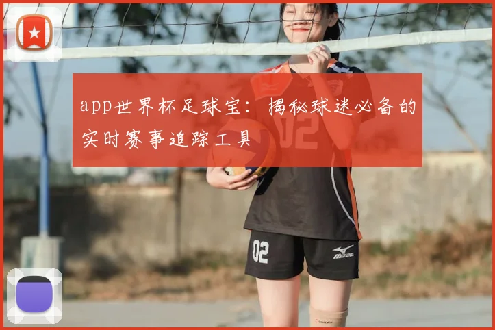 app世界杯足球宝：揭秘球迷必备的实时赛事追踪工具