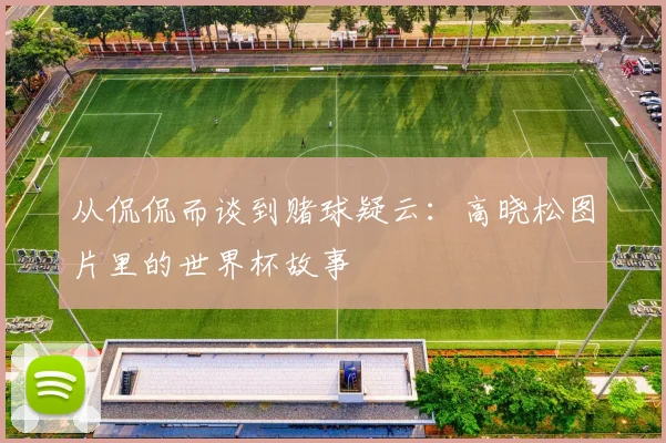 从侃侃而谈到赌球疑云：高晓松图片里的世界杯故事