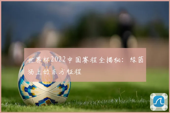 世界杯2022中国赛程全揭秘：绿茵场上的东方征程