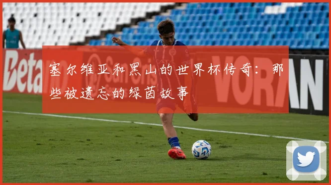 塞尔维亚和黑山的世界杯传奇：那些被遗忘的绿茵故事
