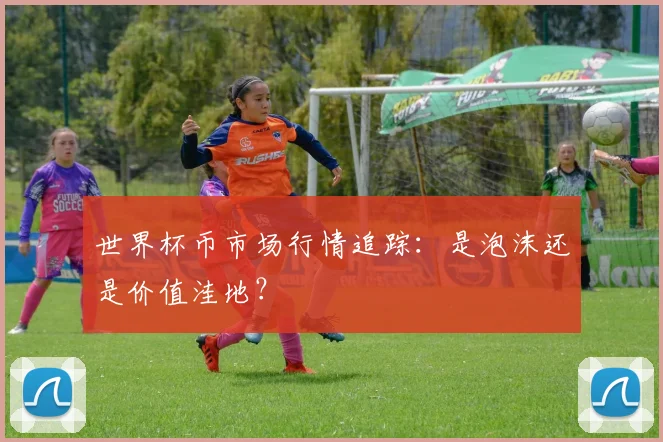 世界杯币市场行情追踪：是泡沫还是价值洼地？