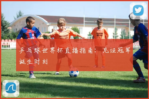 乒乓球世界杯直播指南：见证冠军诞生时刻