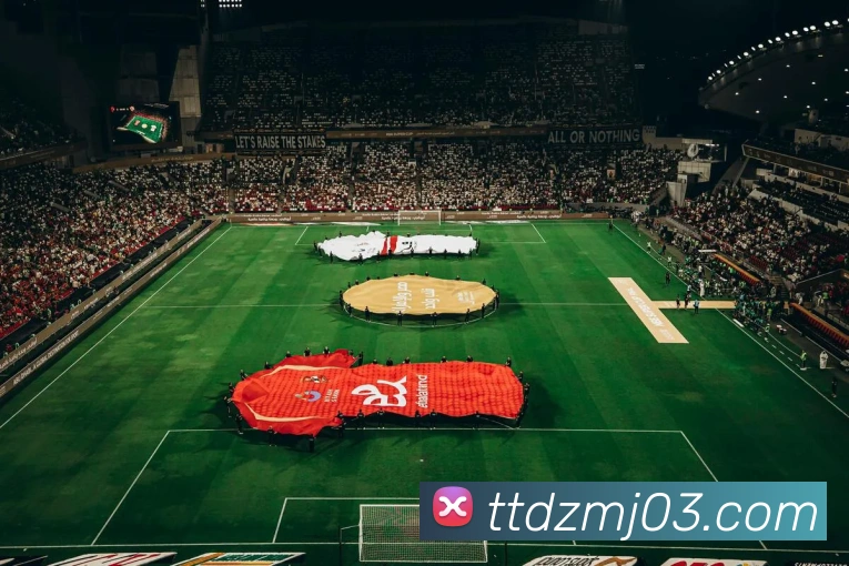 多媒体互动体验